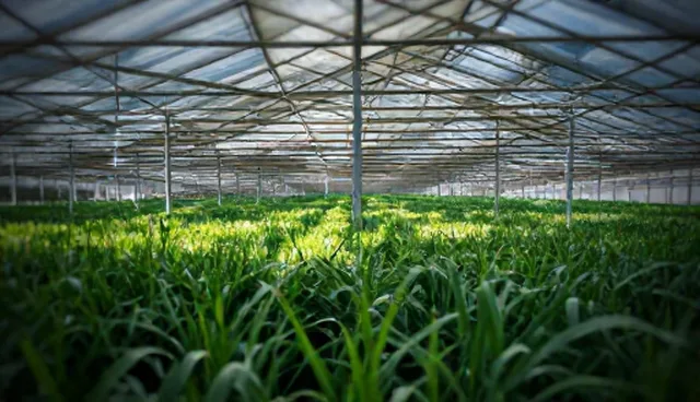 定制化流程优化方案如何应对不同使用场景的性能挑战